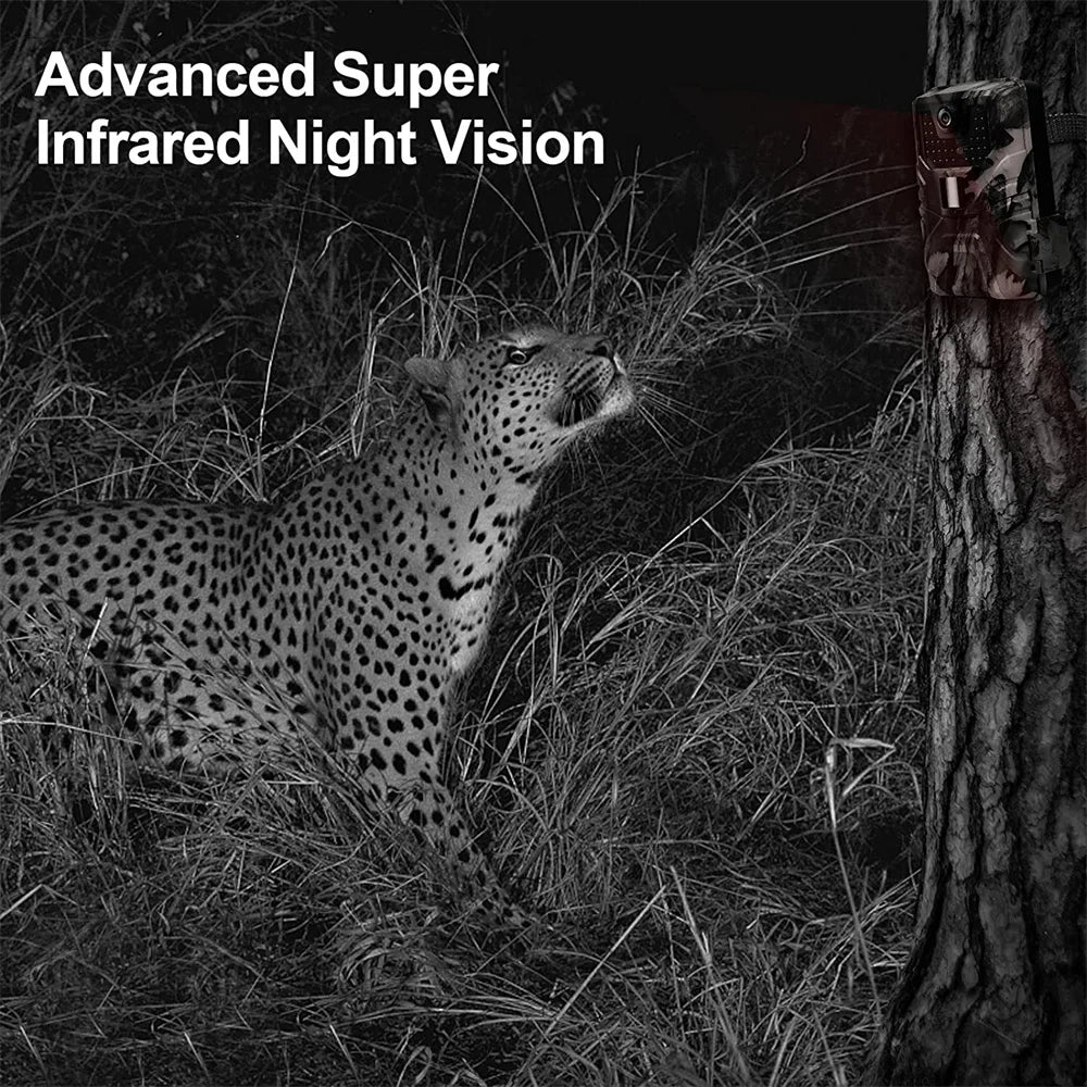 Wildlife Infrared Night Vision Motion Camera