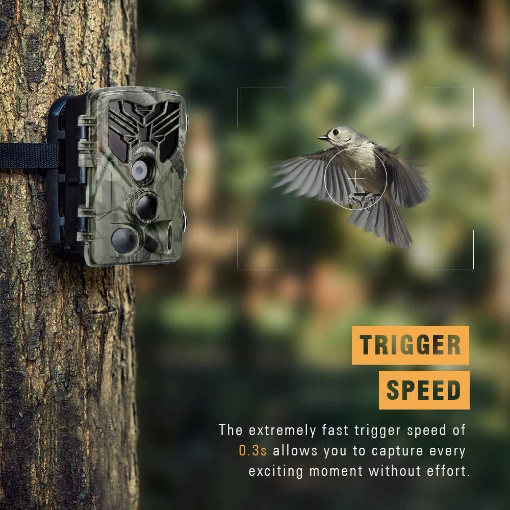 Wildlife Infrared Night Vision Motion Camera