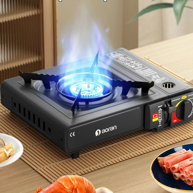 2900W Outdoor Gas Stove with Carry Box