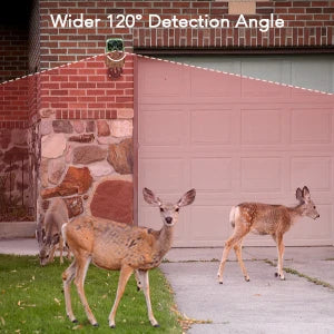 Wildlife Infrared Night Vision Motion Camera