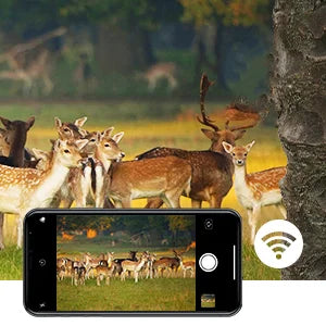 Wildlife Infrared Night Vision Motion Camera